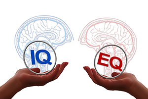 emotional intelligence